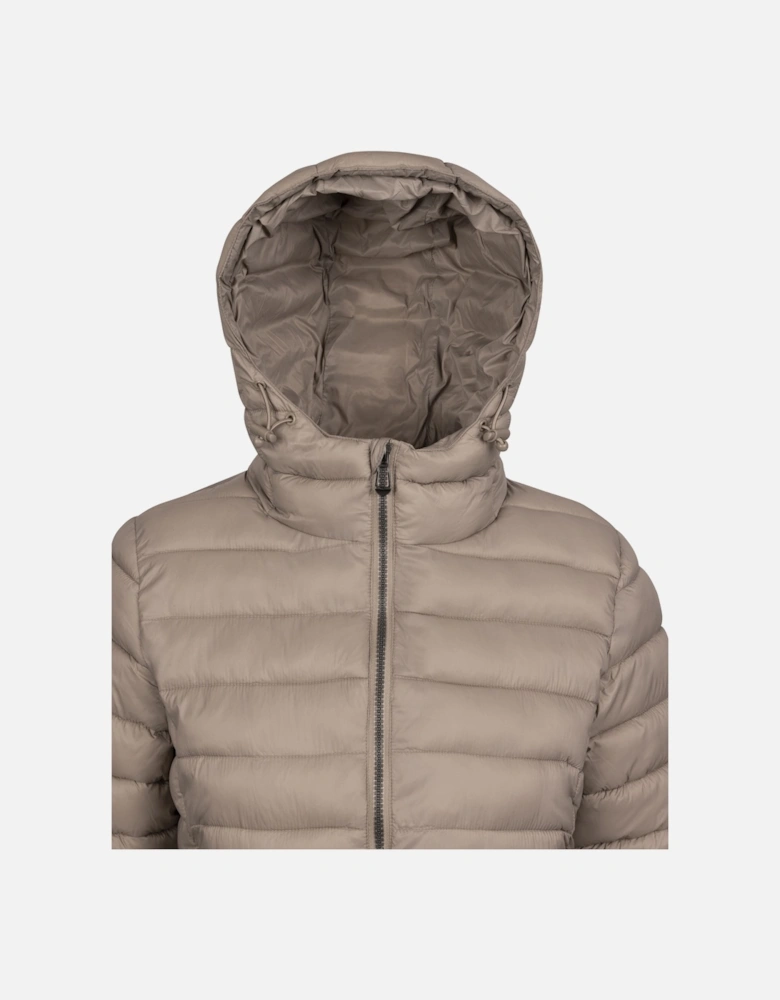 Womens/Ladies Dorothea Padded Jacket