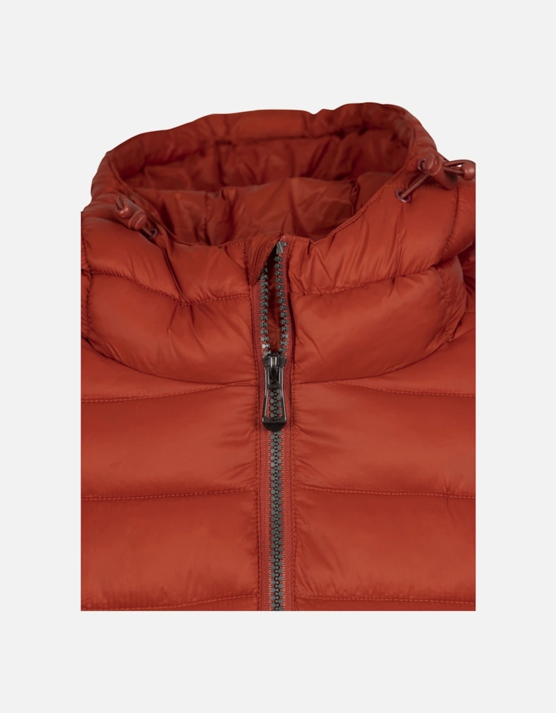 Womens/Ladies Dorothea Padded Jacket