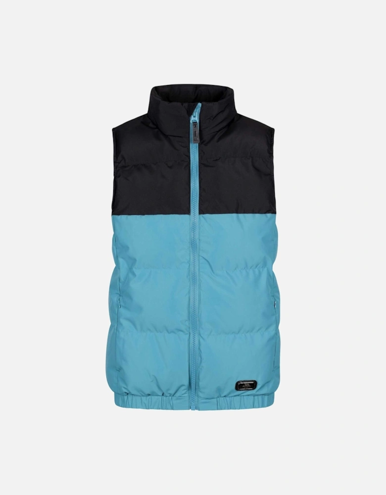 Womens/Ladies Stony Gilet