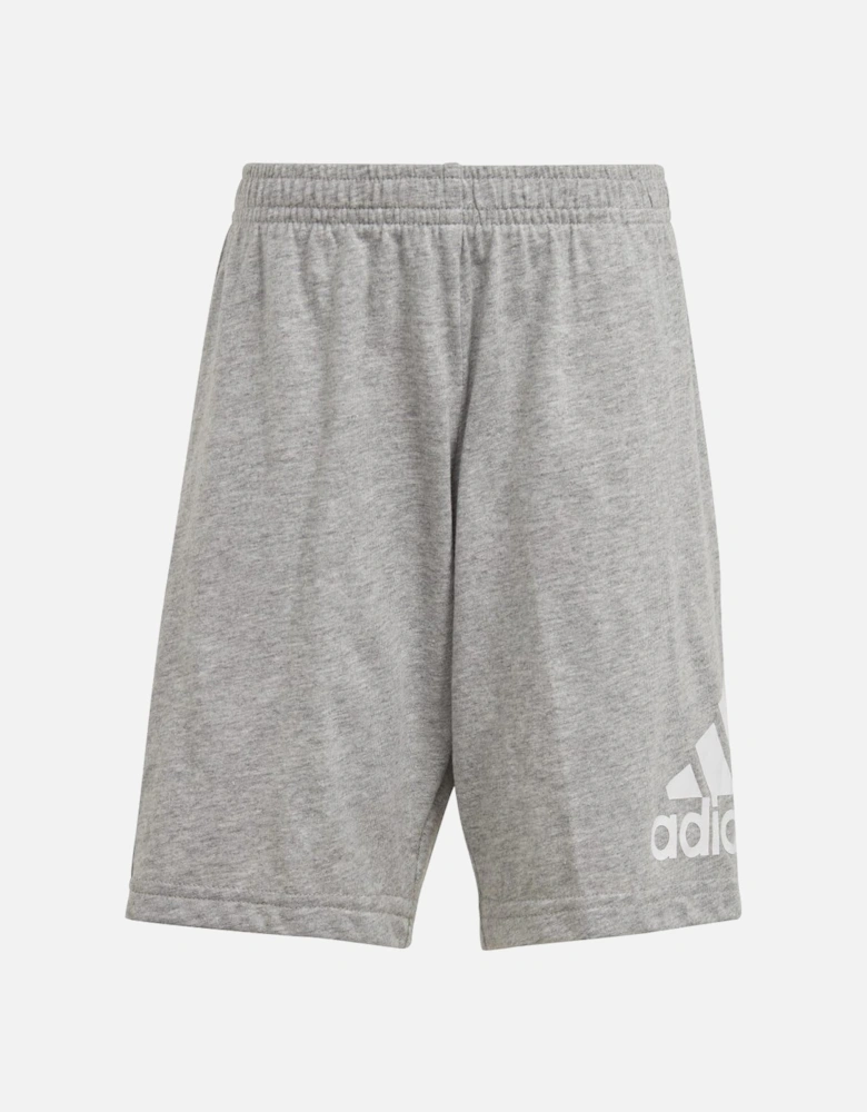 Childrens/Kids Essentials Logo T-Shirt & Shorts Set