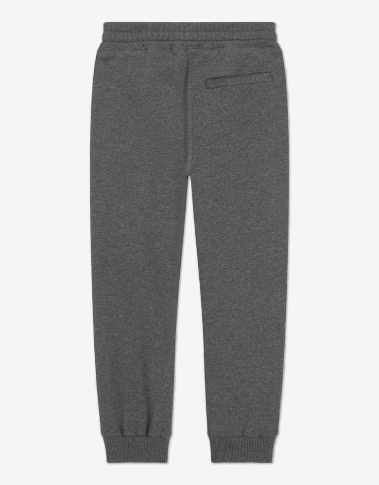 Boys Logo Joggers in Grey