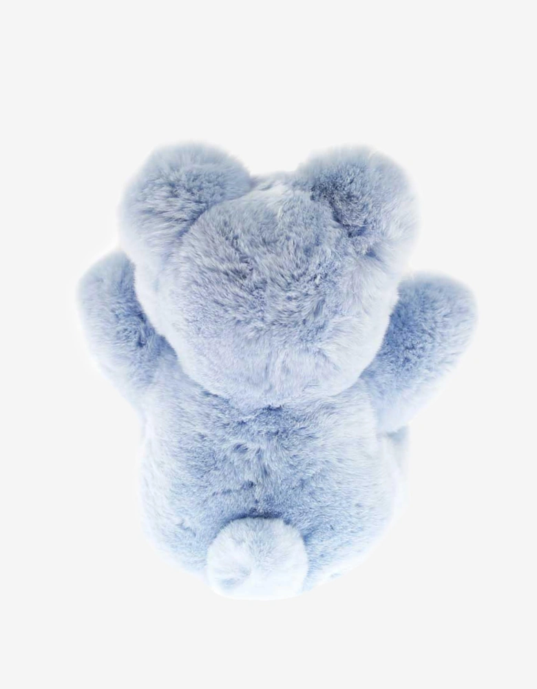 Boys Teddy Bear