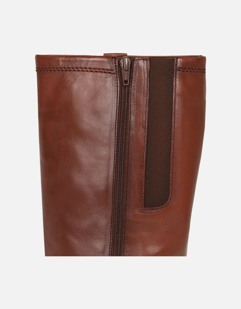 Oval (M) Womens Knee High Boots