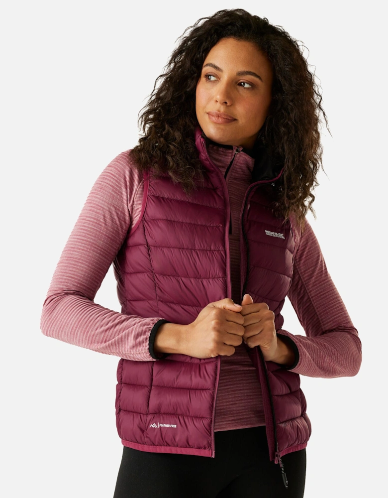 Womens/Ladies Marizion Gilet