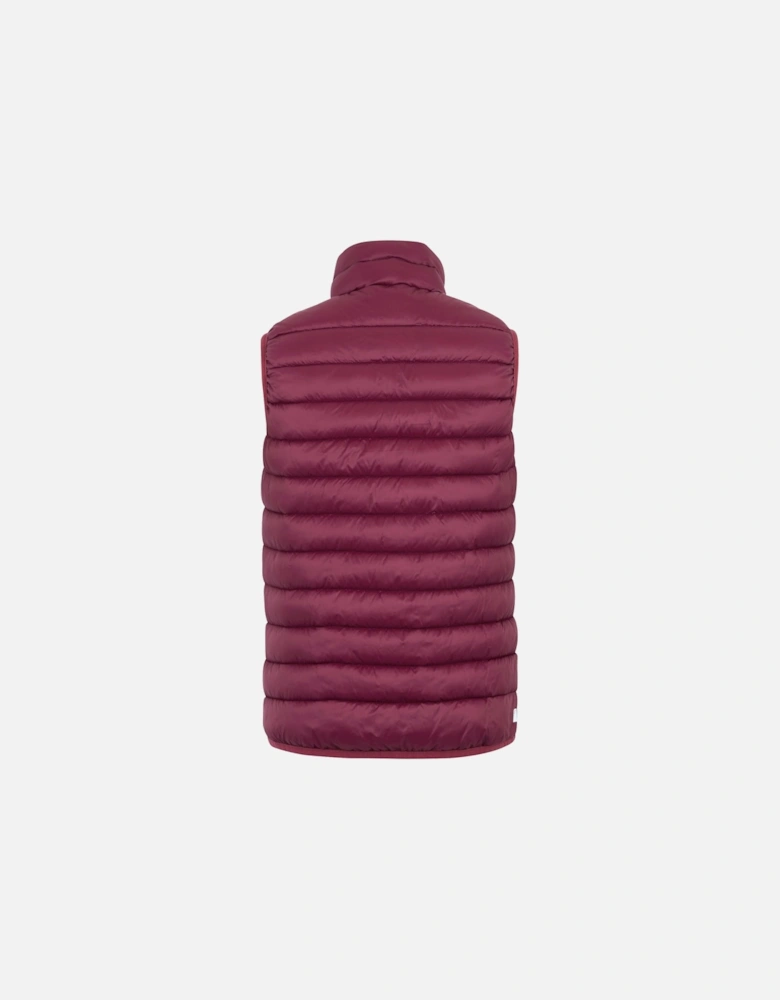 Womens/Ladies Marizion Gilet