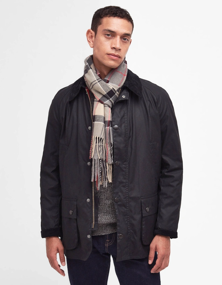Galingale Unisex Scarf - Dress Tartan
