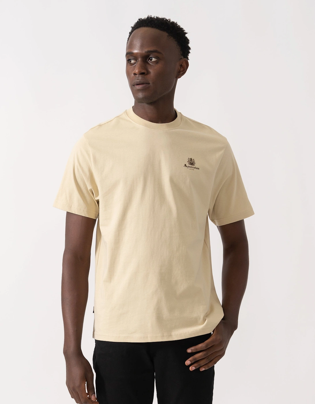 Mens Small Logo T-Shirt - Beige 03, 6 of 5