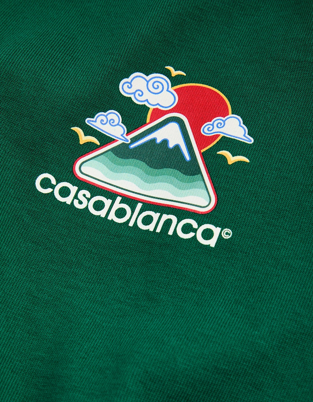 Montagne Ondulée Screen Printed T-Shirt in Green