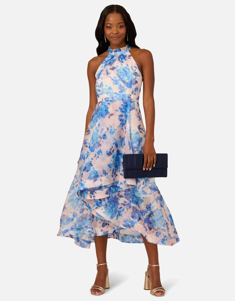 Floral Organza Ankle Dress