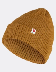 Acorn 166