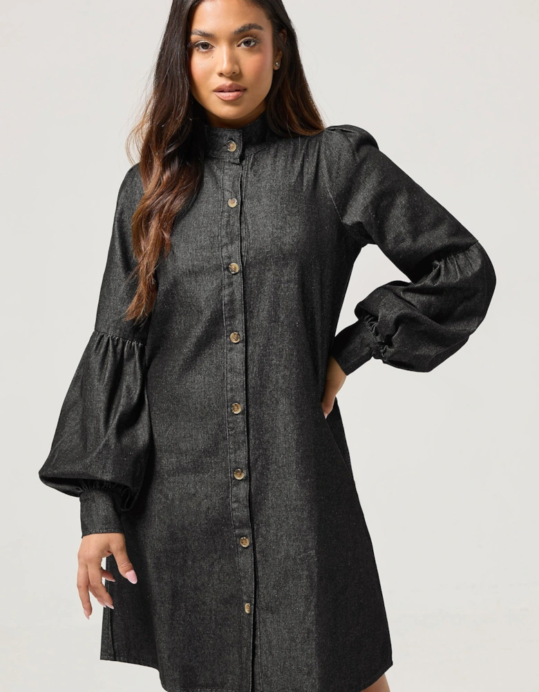 Petite Denim Shirt Dress