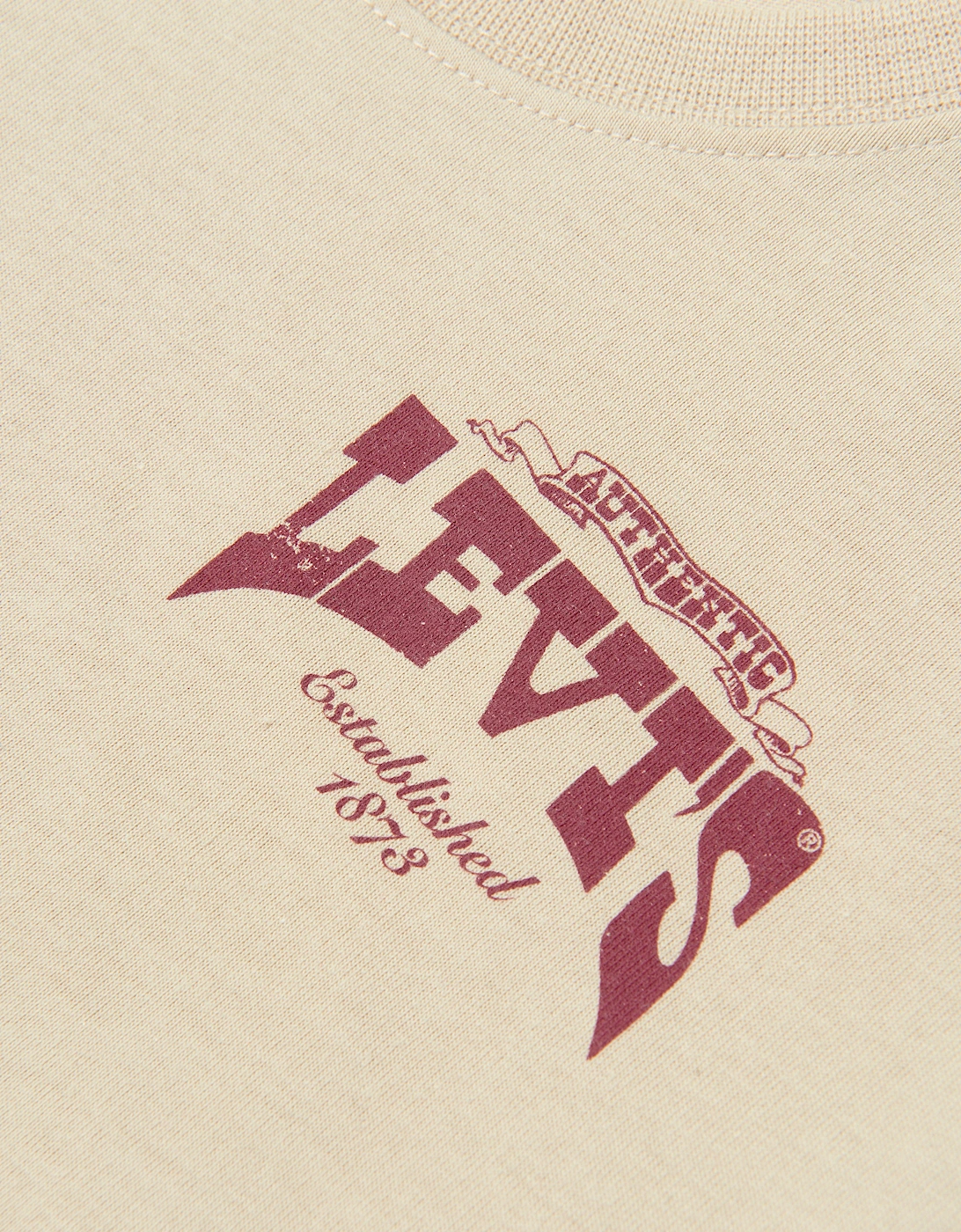 Boys Galloping Free T-Shirt in Beige