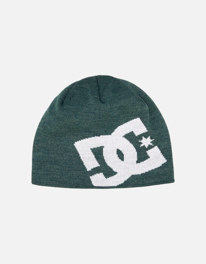 Mens Big Star 2 Skully Logo Beanie