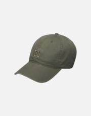 Bronze Green Bronze Green