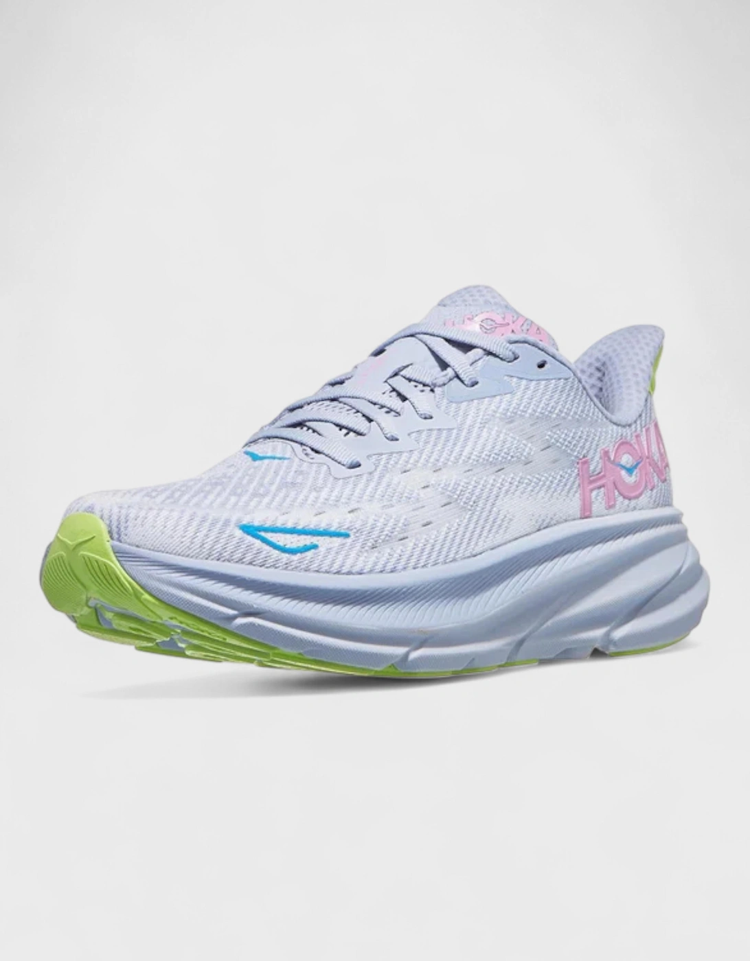 Clifton 9 Gull Sea Ice