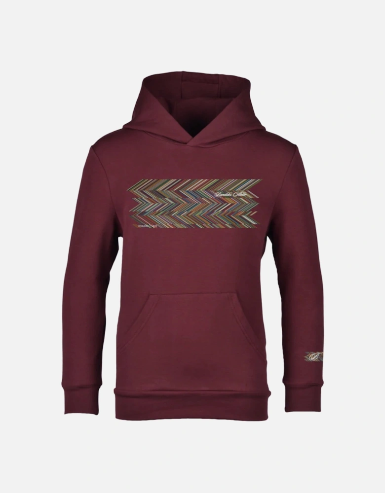 Boys Maroon Zig Hoodie