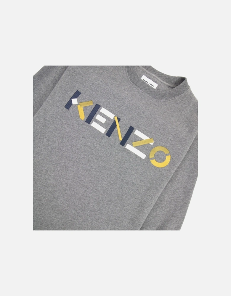 Logo Print Crewneck Sweatshirt Dark Grey