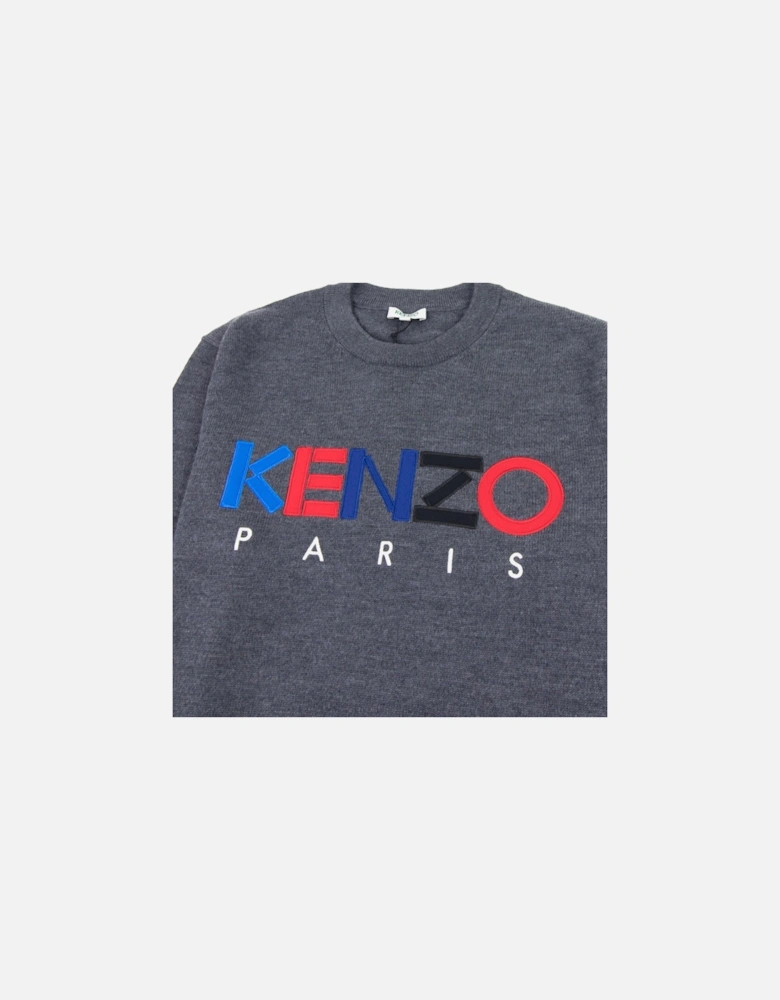 Logo Crew Knit Sweatshirt Grey