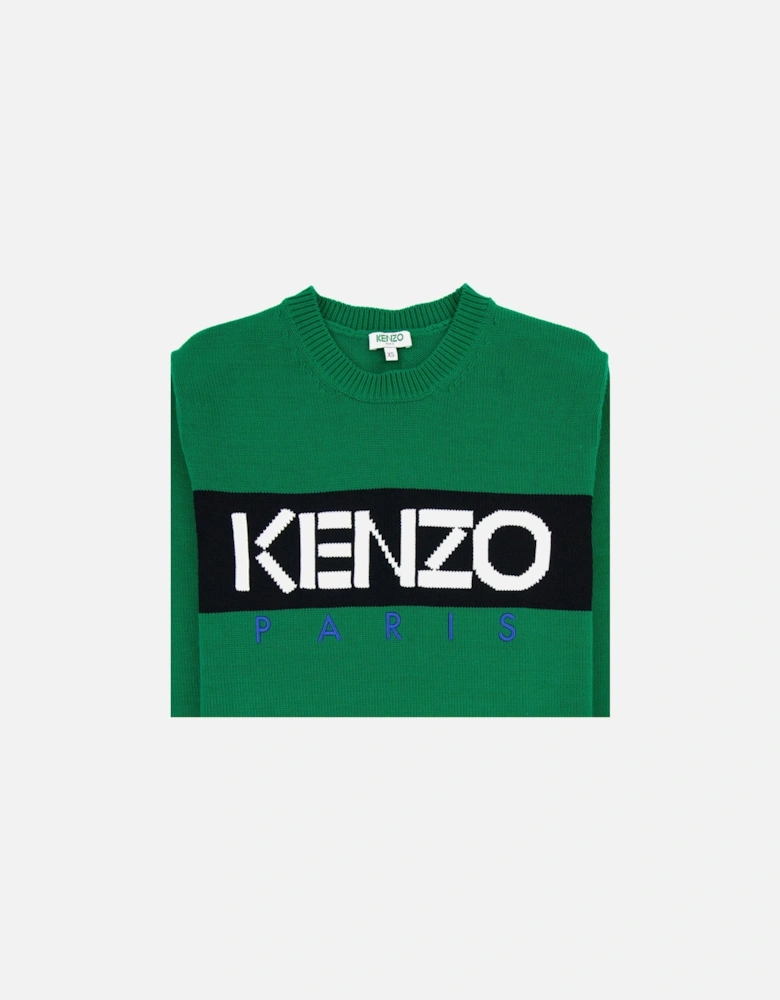 Logo Crew Knit Sweatshirt Green