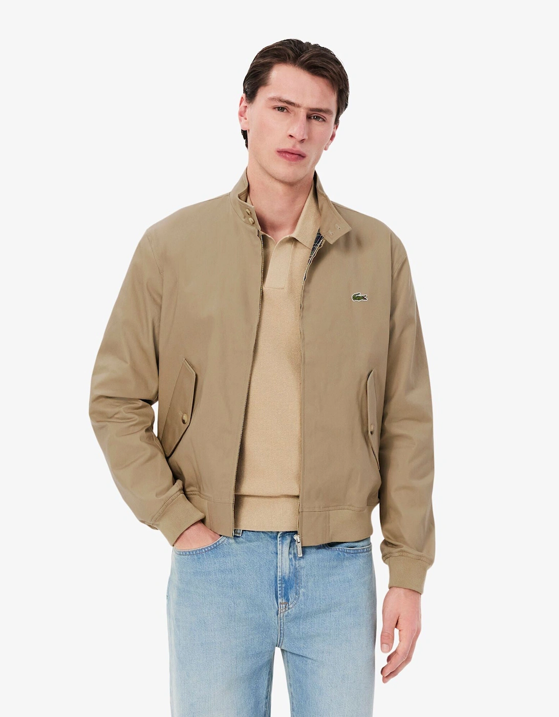 Mens Showerproof Cotton Twill Harrington Jacket - Lion CB8, 8 of 7