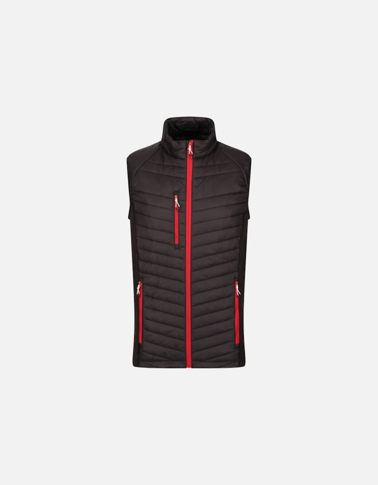 Mens Navigate Hybrid Body Warmer