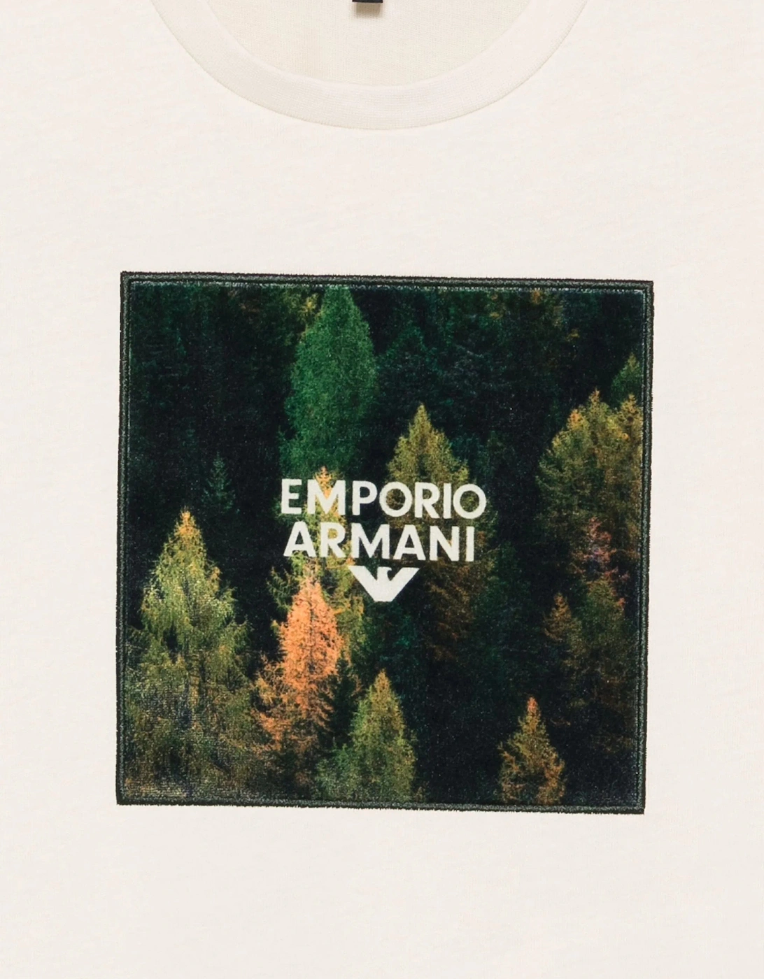 Boys Graphic Print T-Shirt in Beige