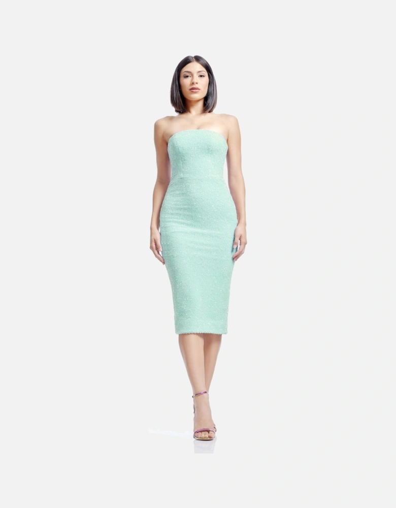 Viviana Strapless Bodycon Midi Dress