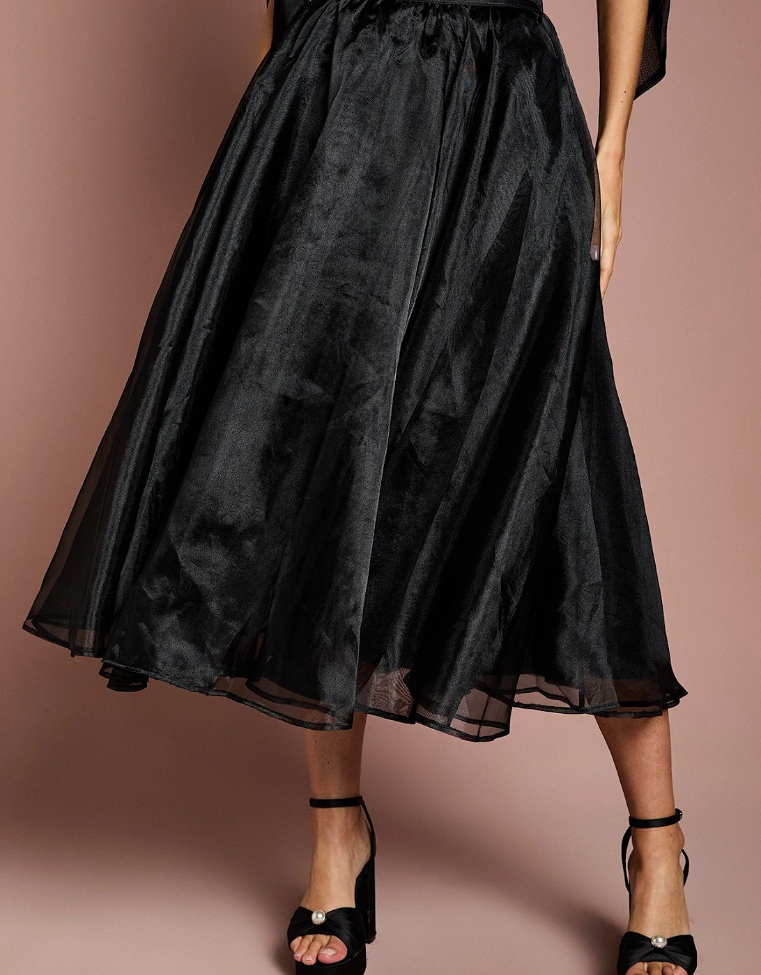 Organza Skirt, 2 of 1