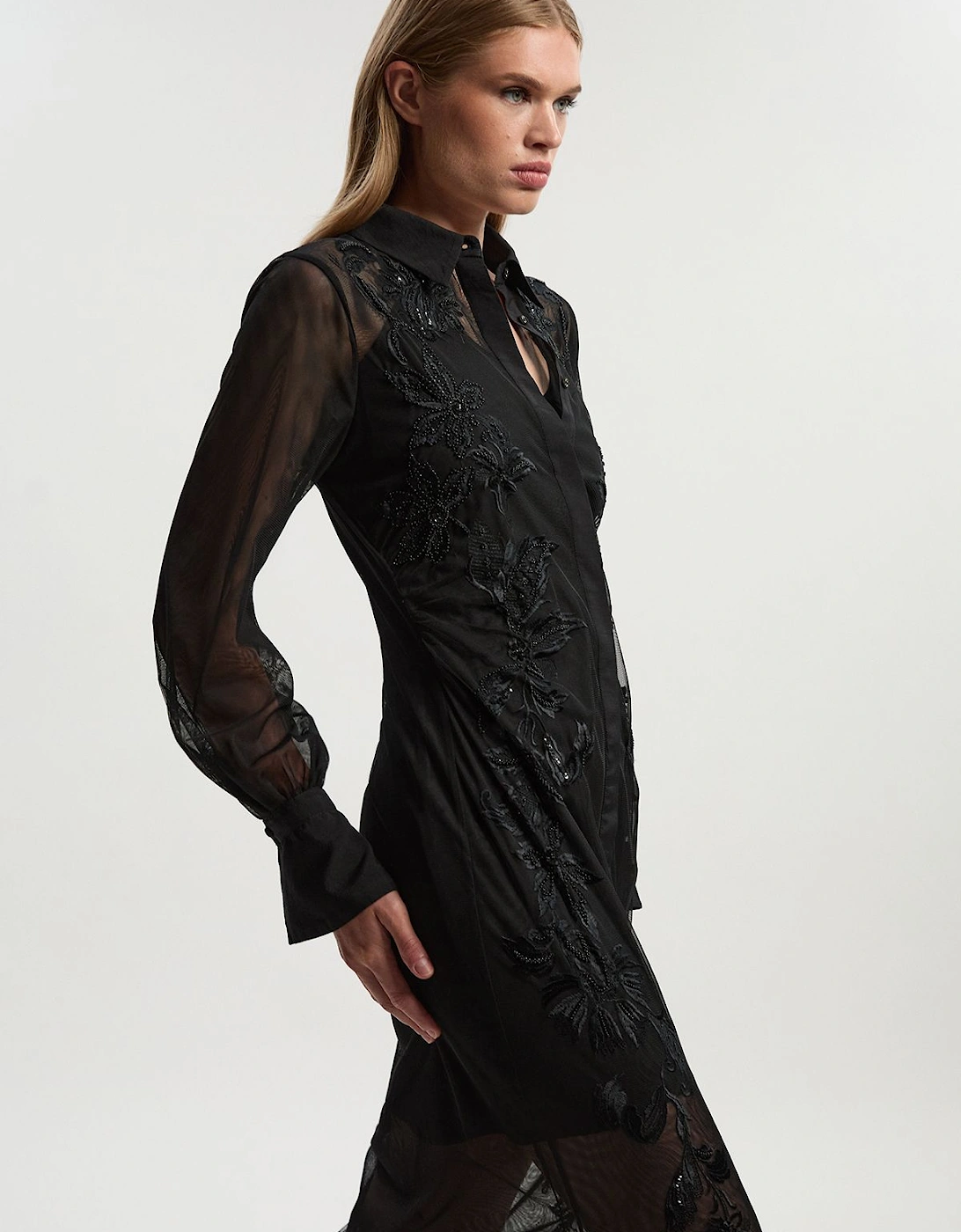 Archive Mesh Embellished Embroidered Sheer Shirt Dress, 2 of 1