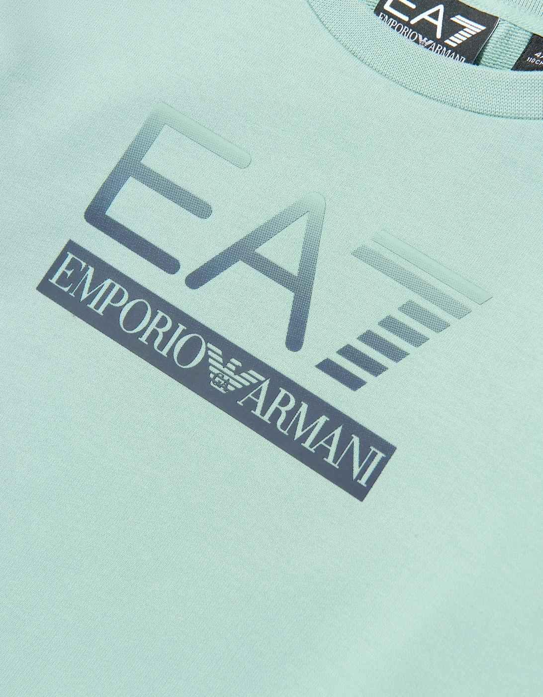 Emporio Armani Boys Train Visibility Sweatshirt in Blue