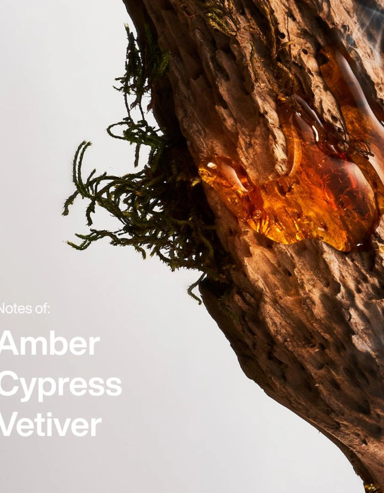 Amber & Vetiver EDT Fragrance Spray 50ml, mens gifts, Christmas Gifts