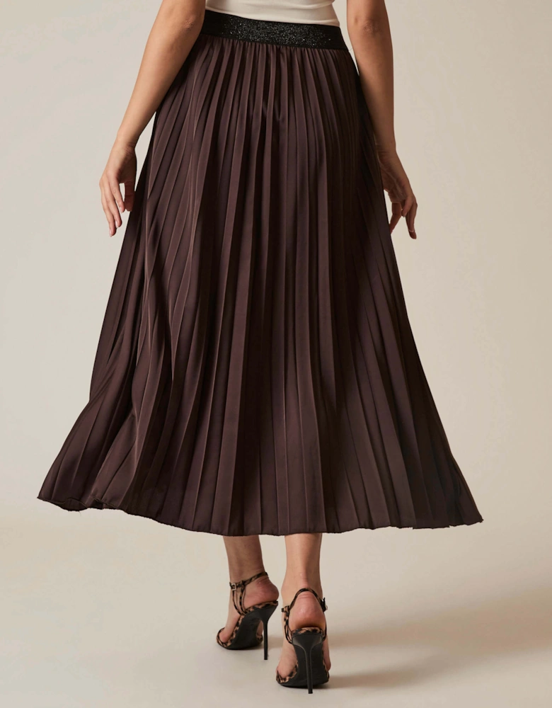 Brown Pleated Maxi Skirt