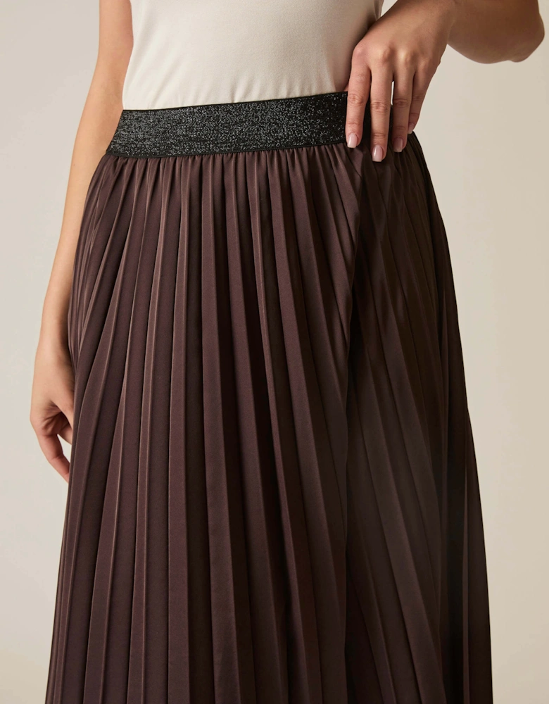 Brown Pleated Maxi Skirt