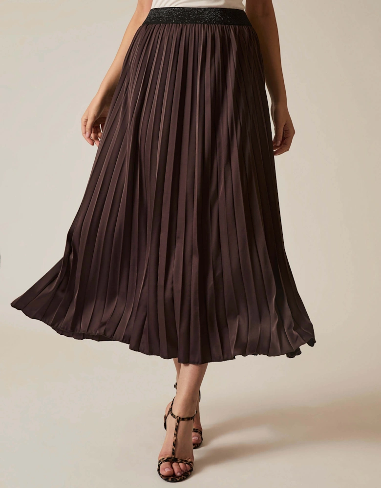 Brown Pleated Maxi Skirt