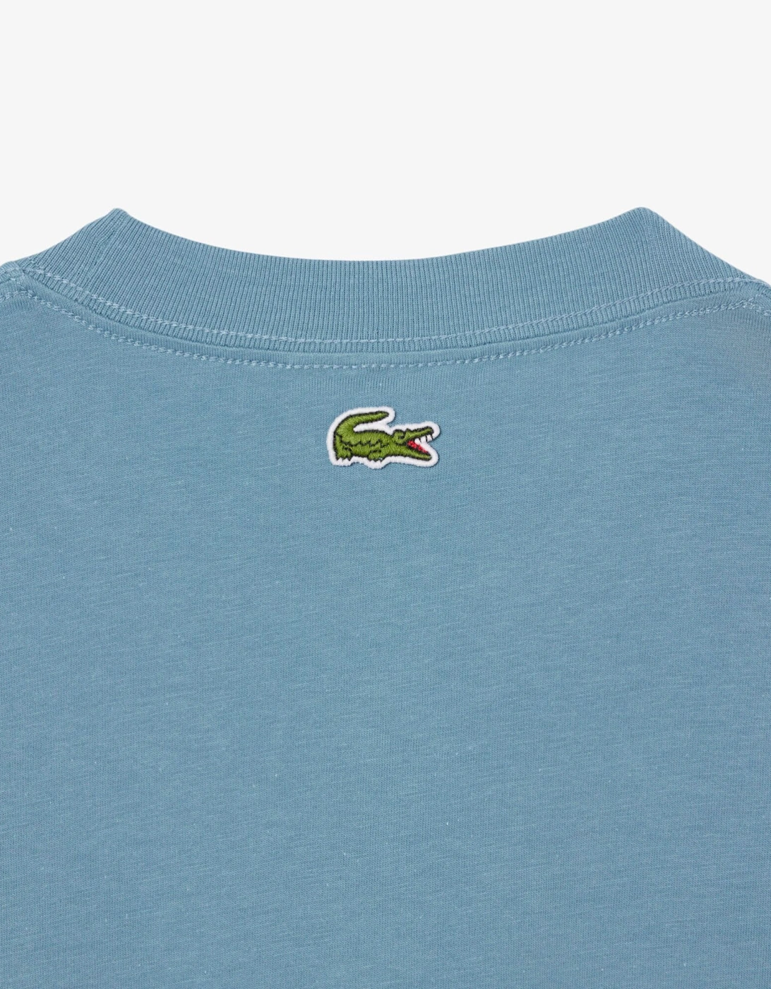 Printed Cotton Jersey T-Shirt