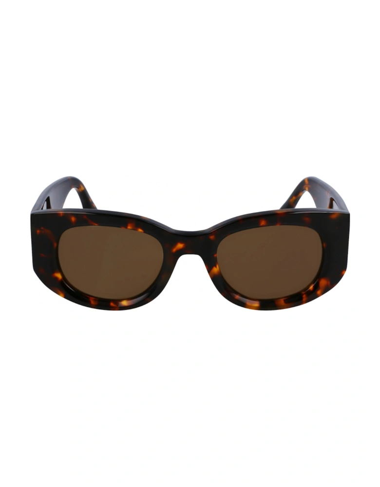 Brown Framed Sunglasses
