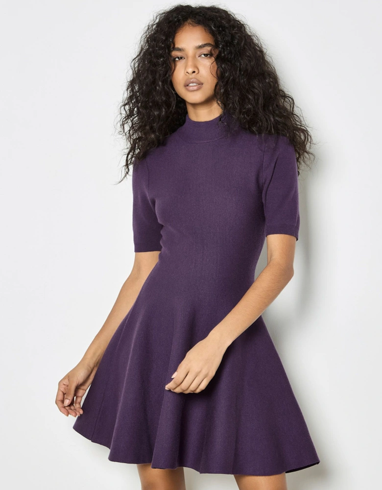 Fit And Flare Ribbed Knit Mini Dress