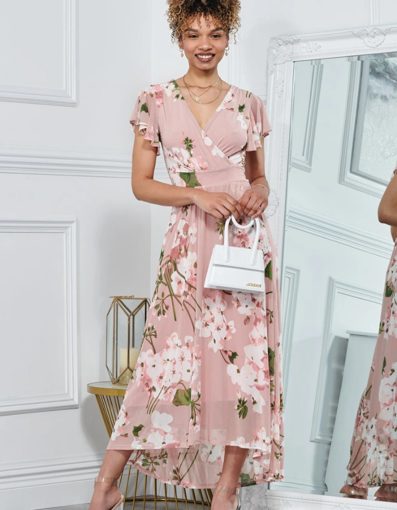 Rachele Floral Pint Mesh Maxi Dress