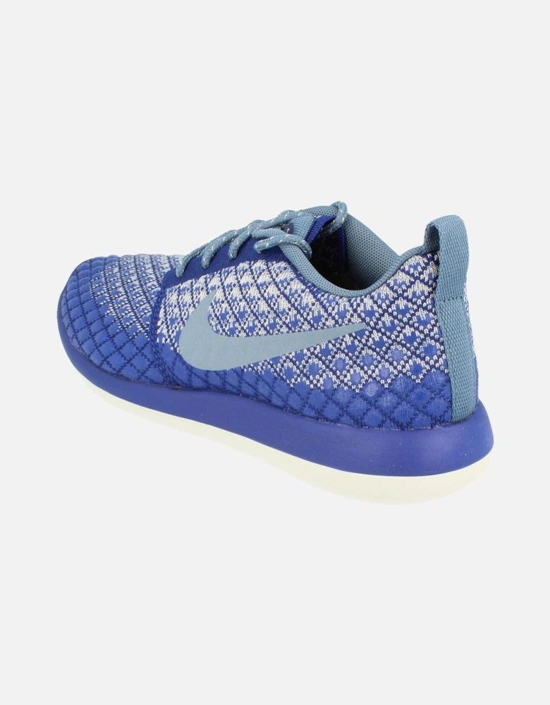 Womens Roshe Two Flyknit 365 861706 400
