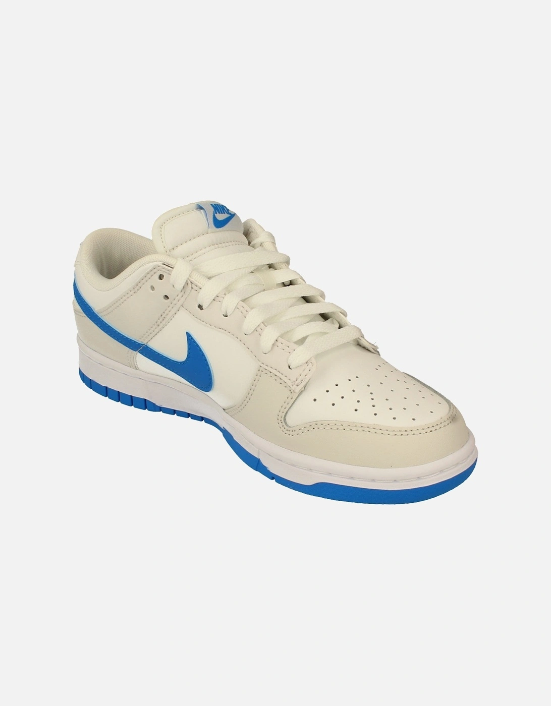 Dunk Low Retro Mens Trainers DV0831 108