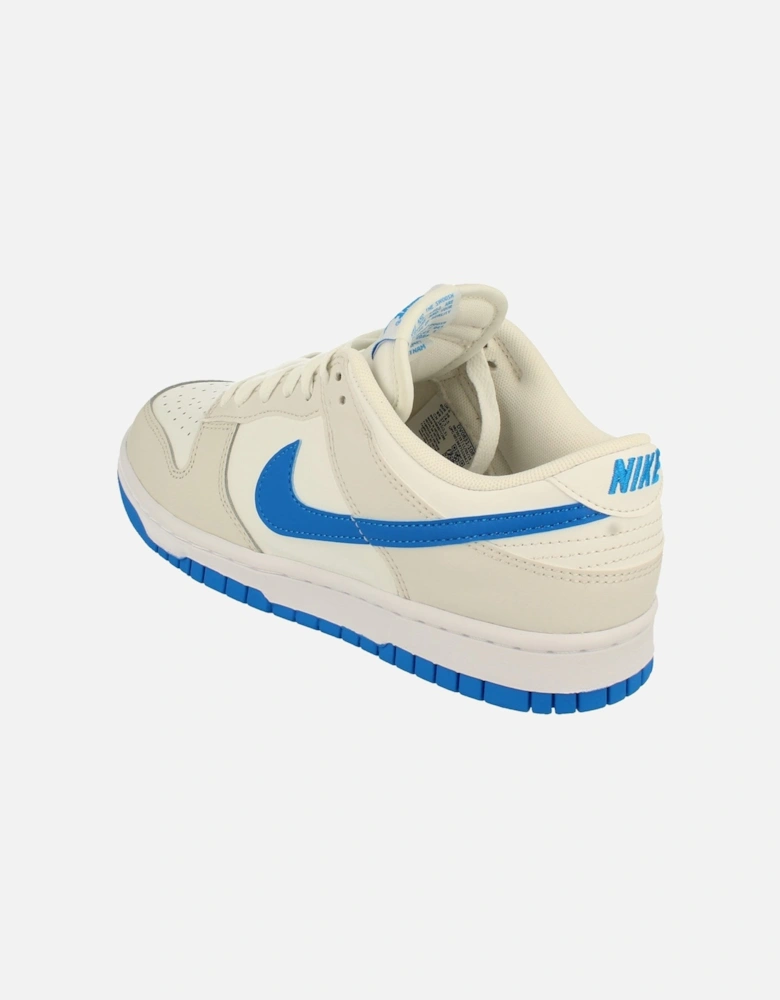 Dunk Low Retro Mens Trainers DV0831 108