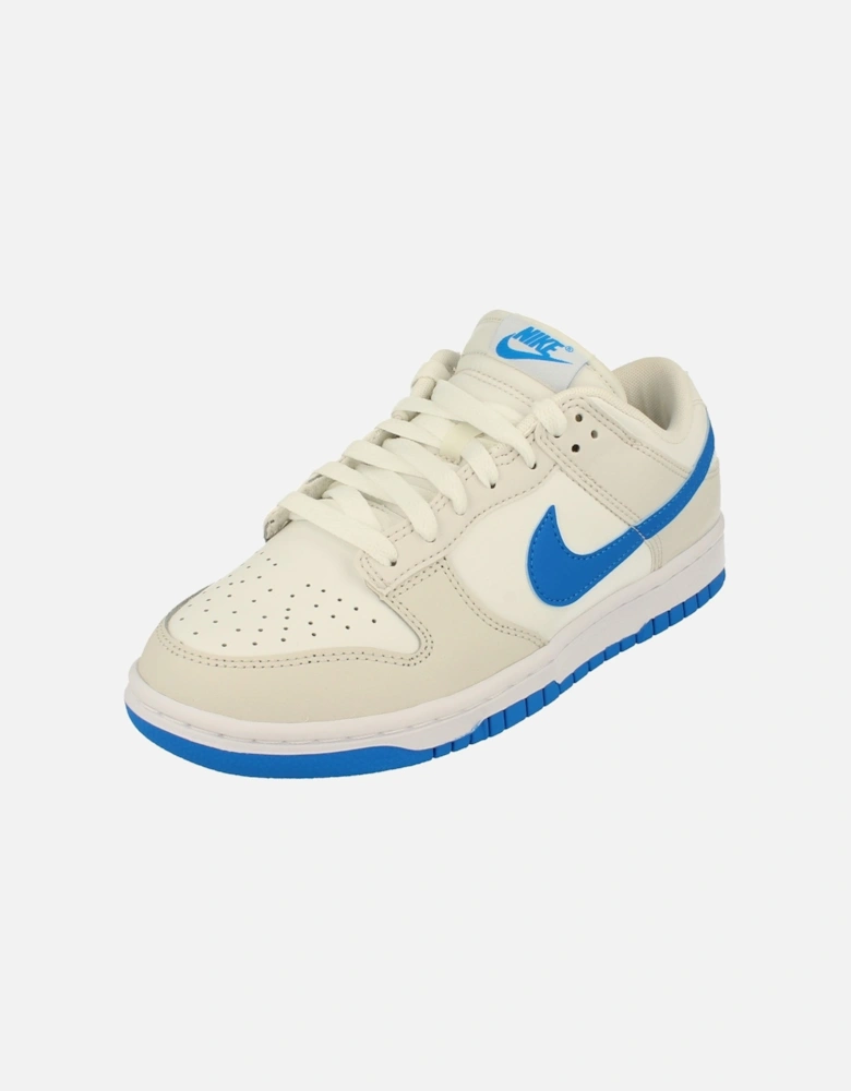 Dunk Low Retro Mens Trainers DV0831 108