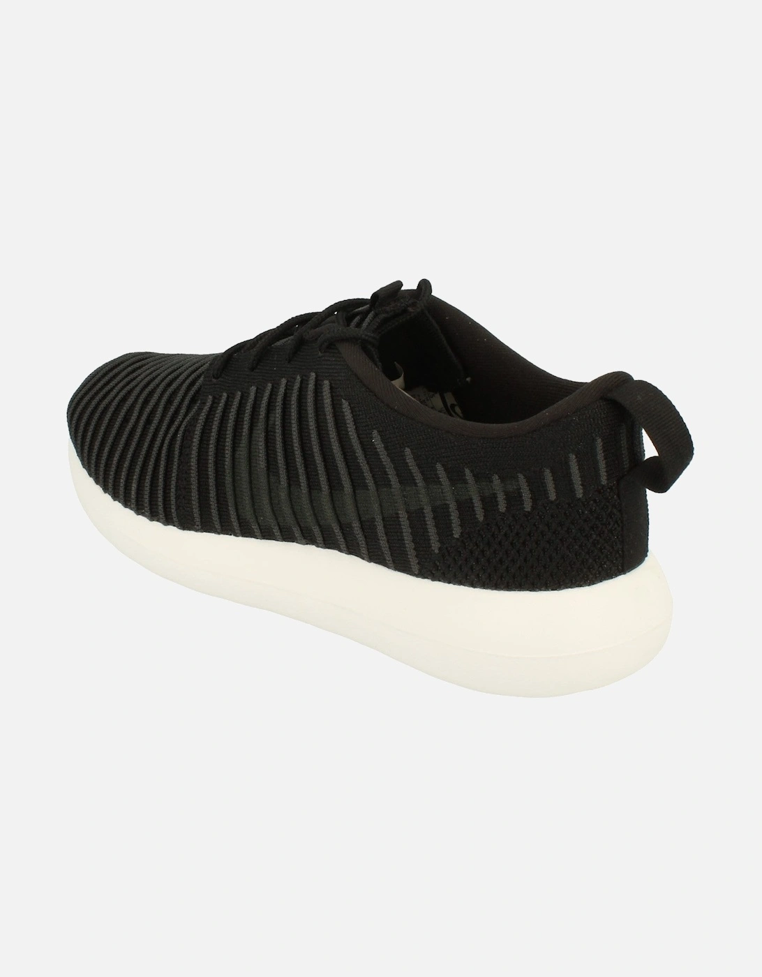 Roshe Two Flyknit Mens 844833 001