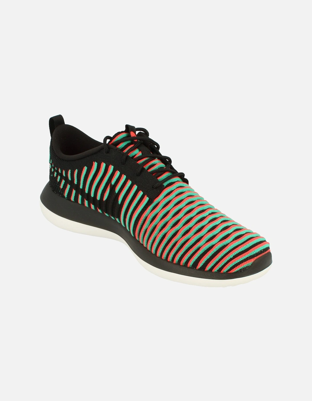 Roshe Two Flyknit Mens 844833 003