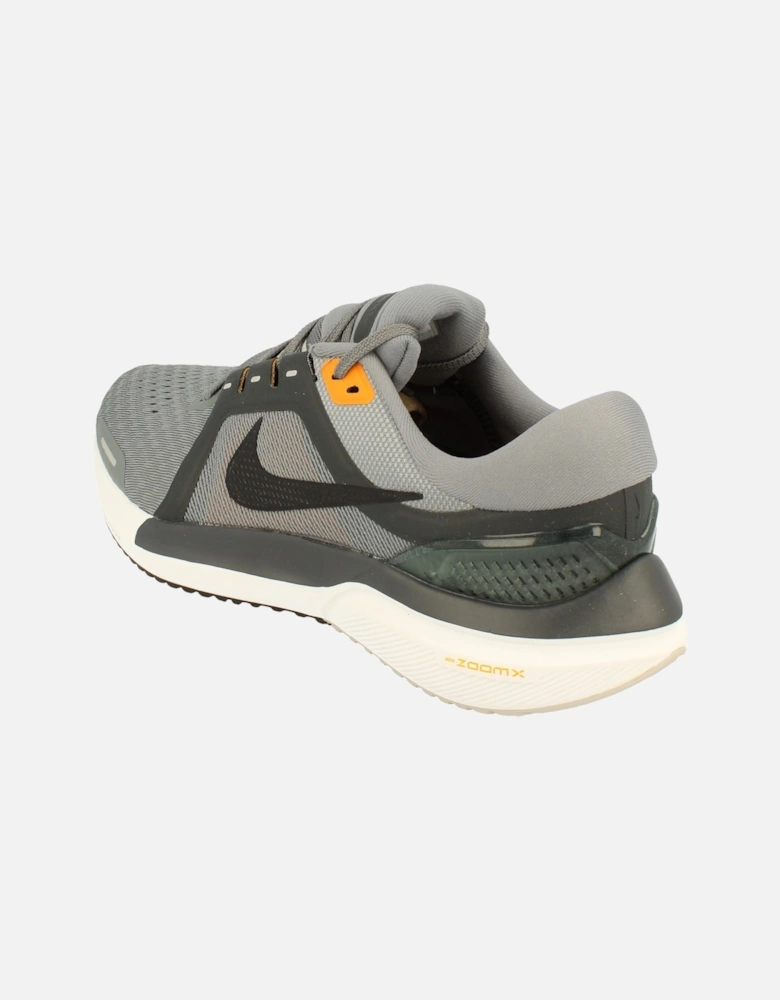 Vomero 16 Mens Da7245 005