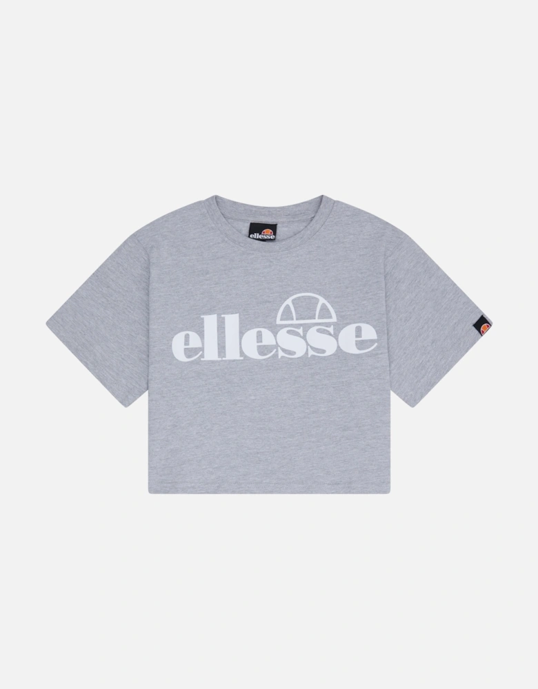 Silo Cropped T-Shirt - Grey Marl