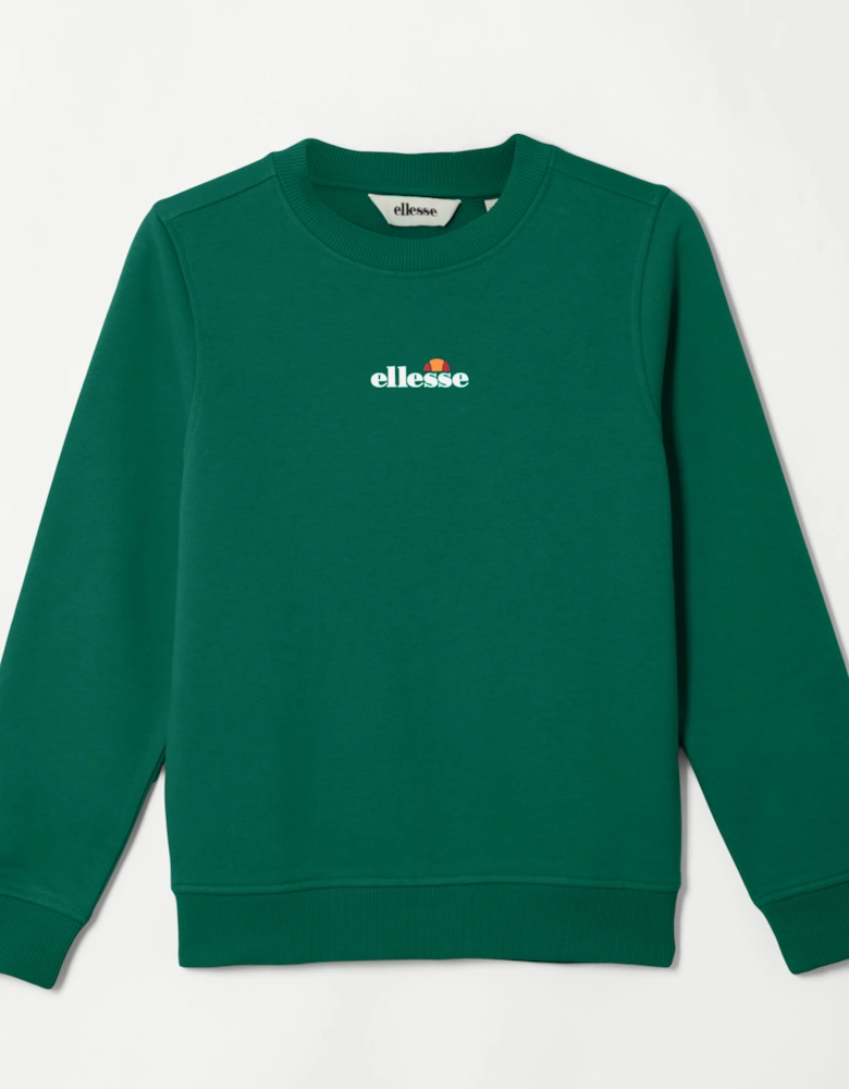 Fairros 2 Jnr Sweatshirt - Dark Green