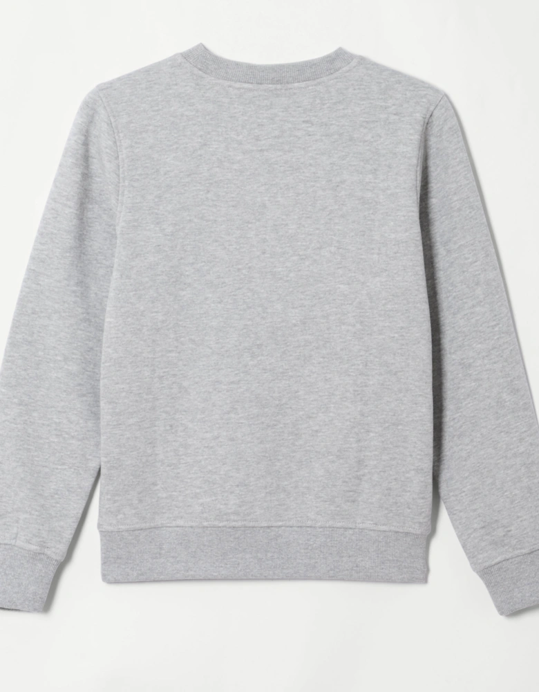 Fairros 2 Jnr Sweatshirt - Light Grey Marl