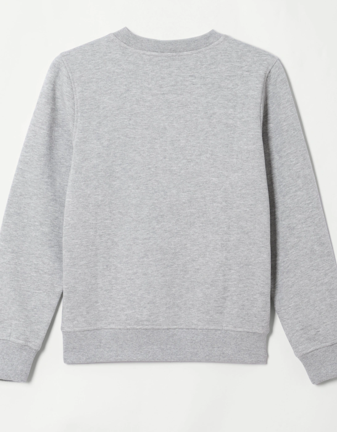 Fairros 2 Jnr Sweatshirt - Light Grey Marl