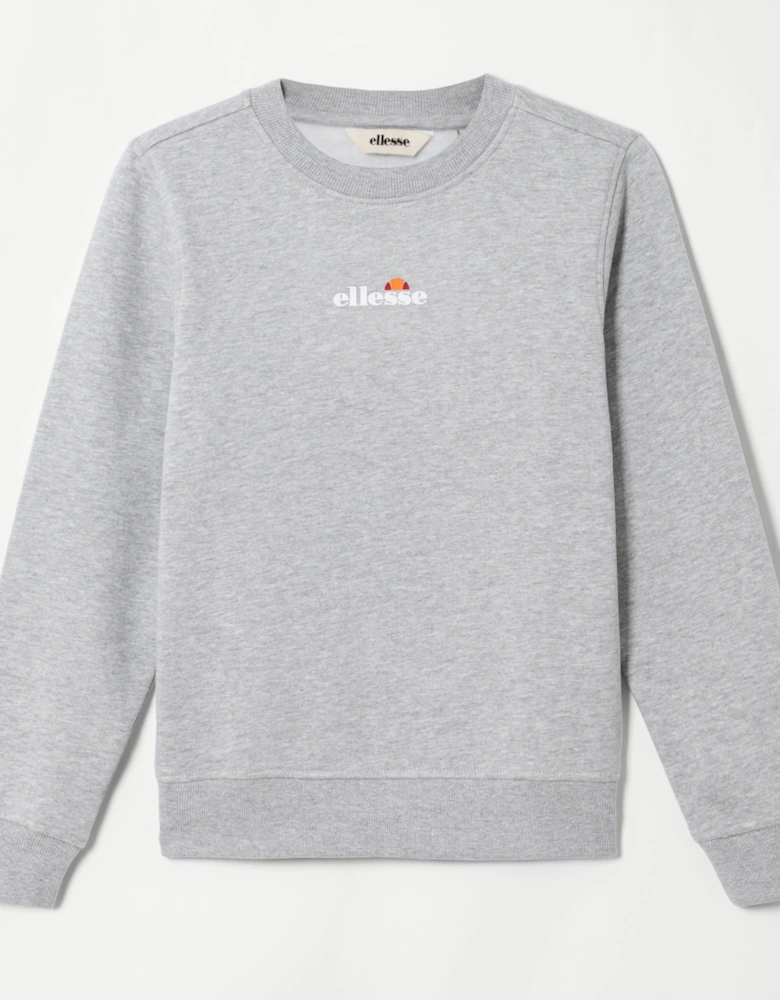 Fairros 2 Jnr Sweatshirt - Light Grey Marl